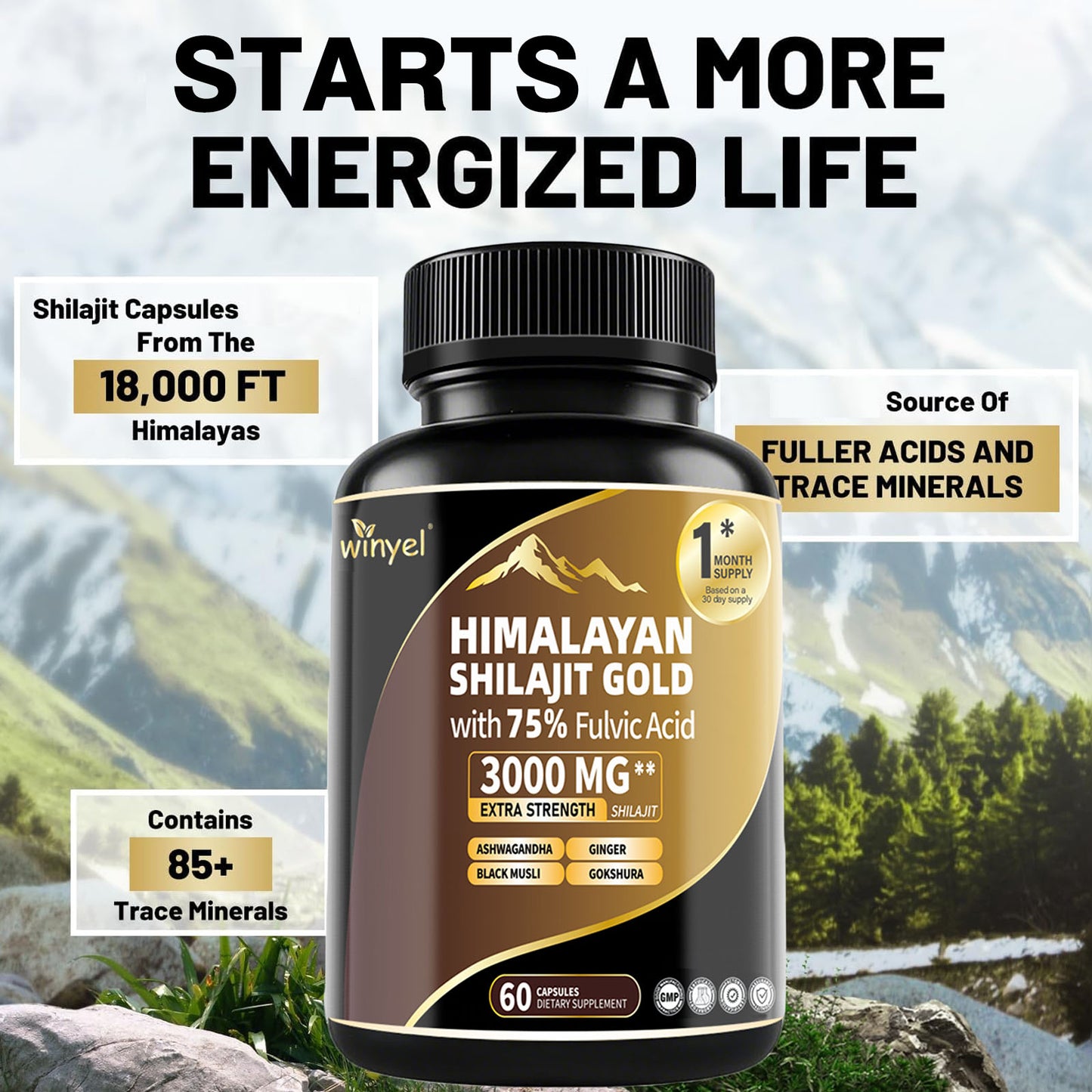 Himalayan Shilajit Gold