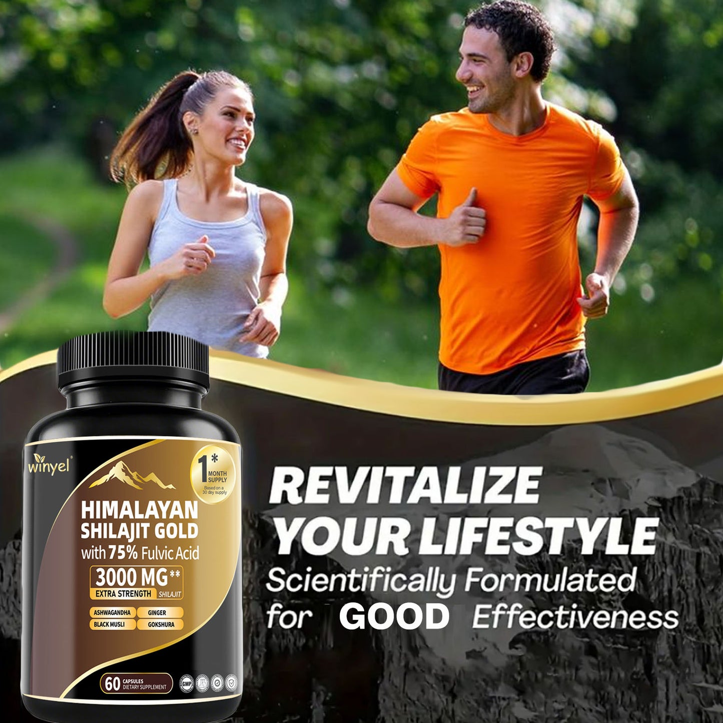 Himalayan Shilajit Gold