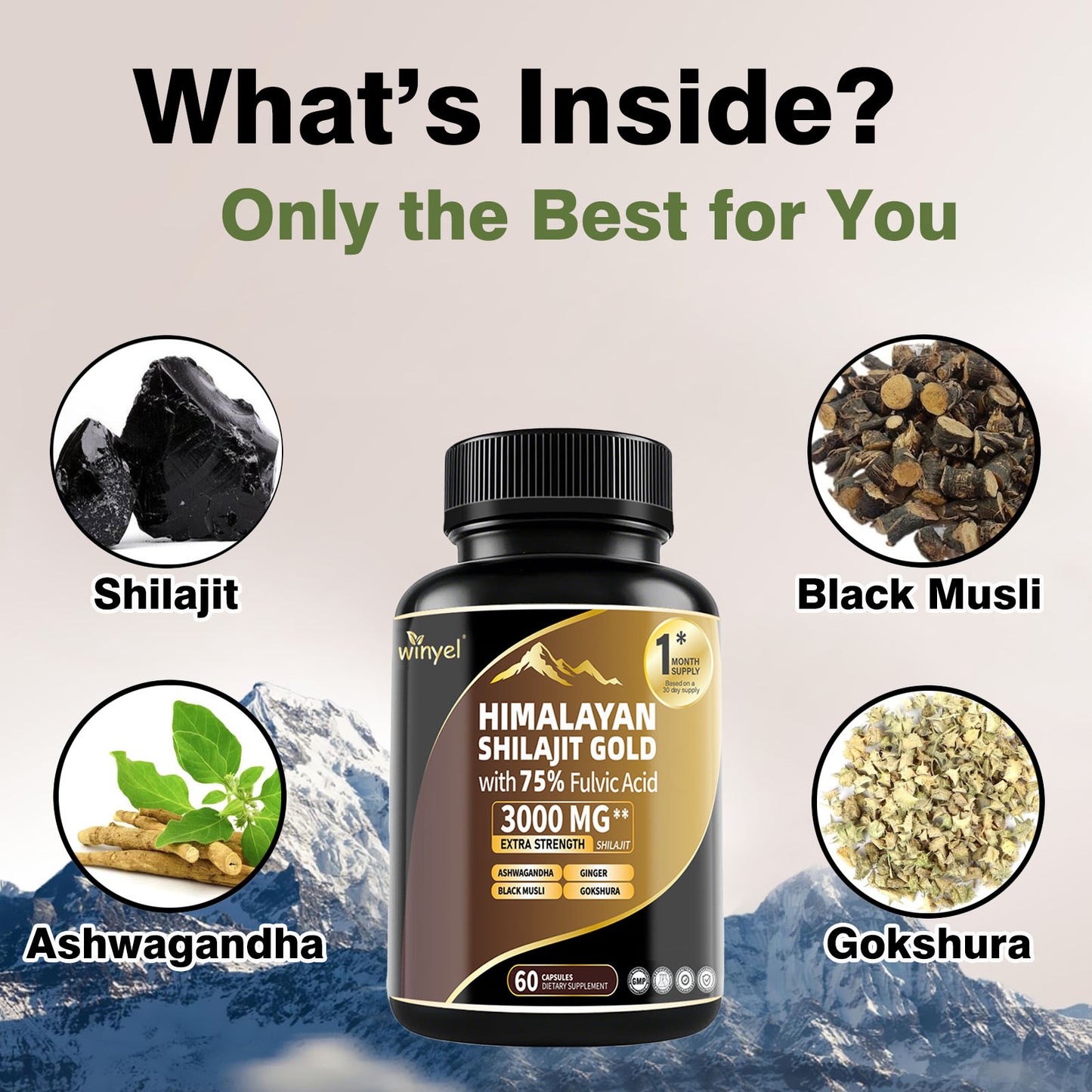 Himalayan Shilajit Gold